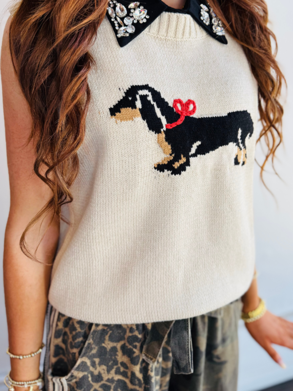 Dog Sleeveless Sweater