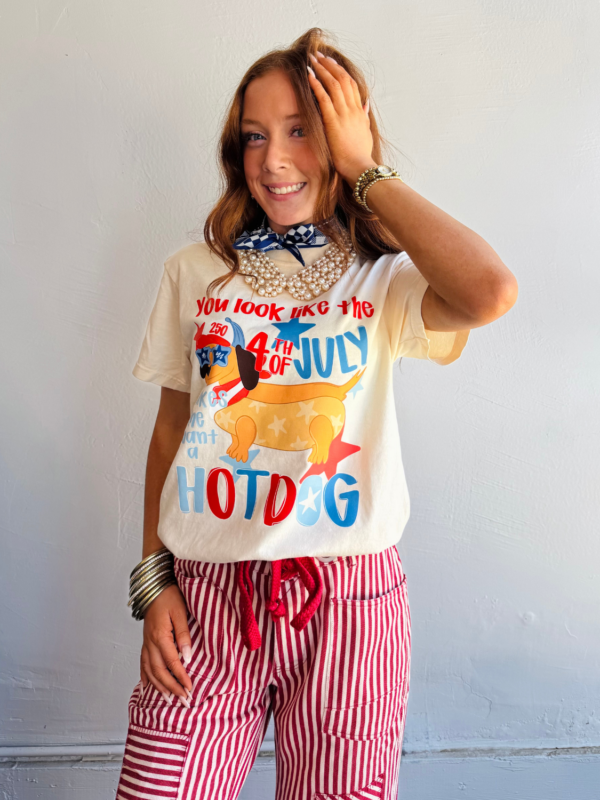 Dachshund 4th of July Tee