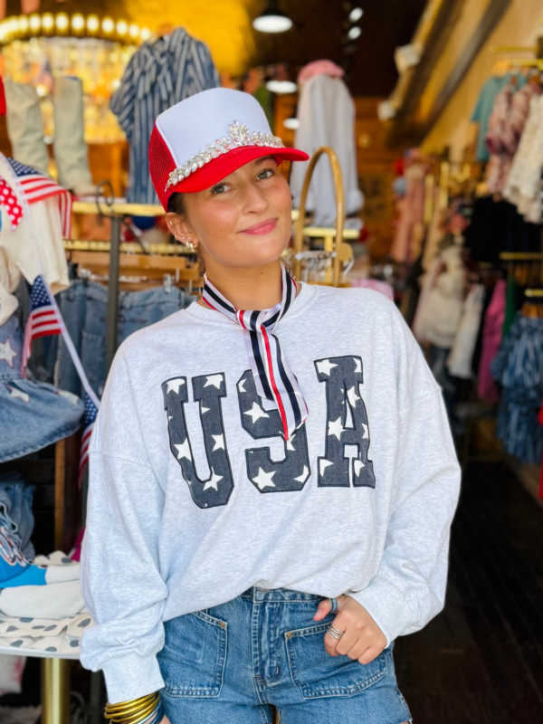USA Embroidery Sweatshirt